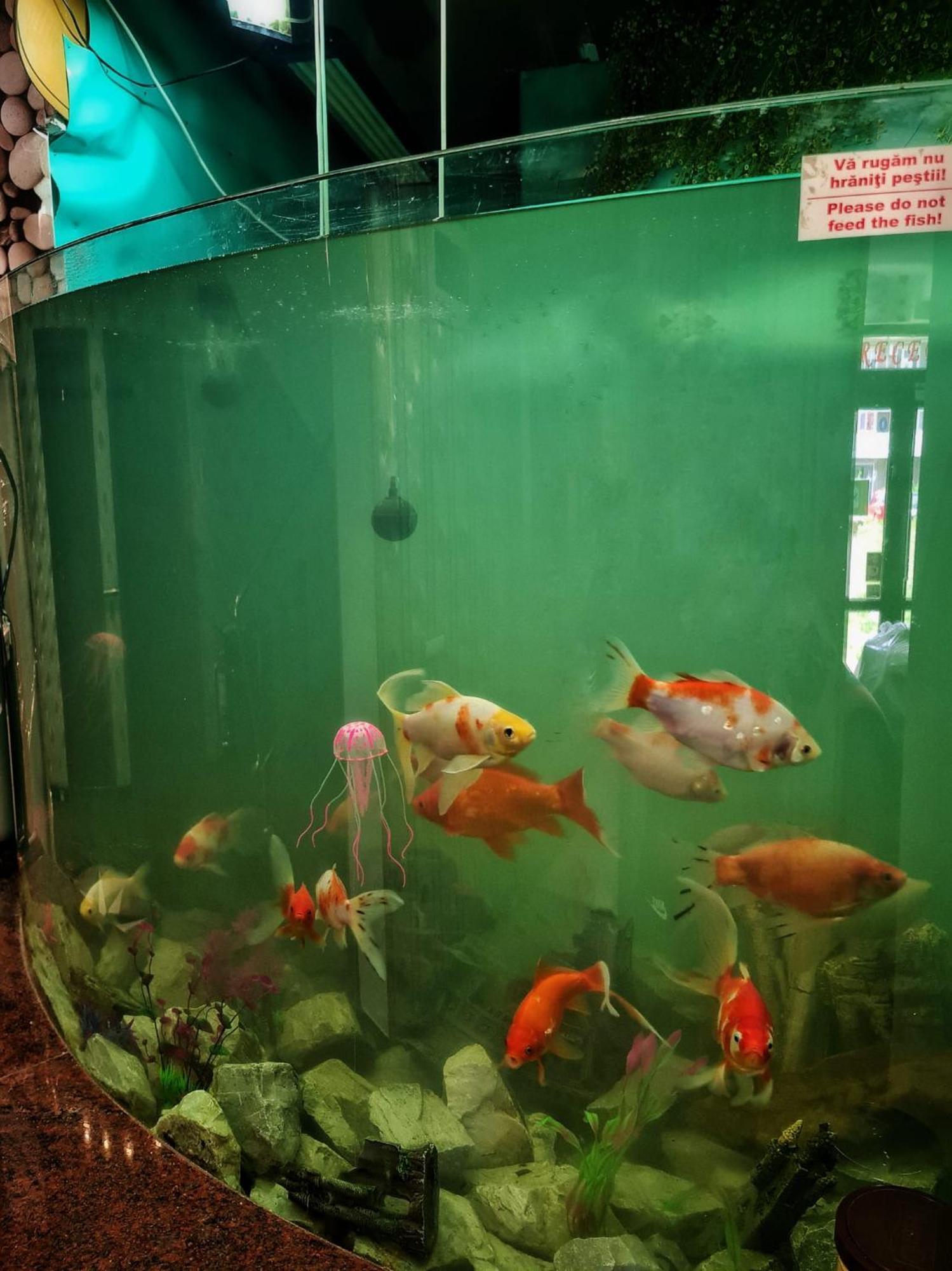 Silver 胡内多阿拉 外观 照片